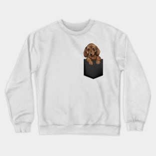 Dachshund in Pocket Crewneck Sweatshirt